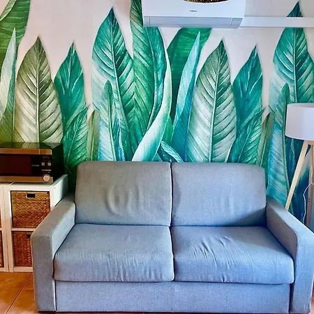 En Bord De Avec Piscine Lägenhet San-Nicolao