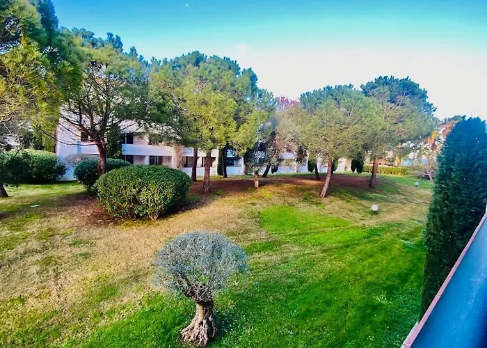 En Bord De Avec Piscine San-Nicolao